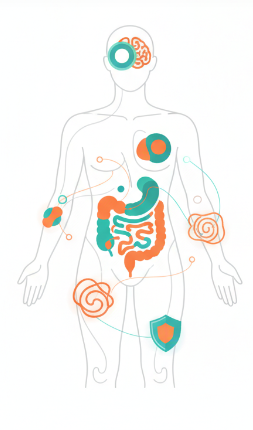 Human body silhouette showing microbiome impact on different organs